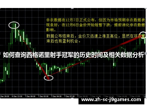 如何查询西格诺里射手冠军的历史时间及相关数据分析