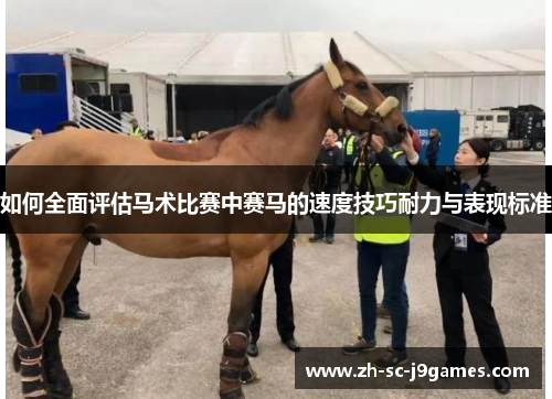 如何全面评估马术比赛中赛马的速度技巧耐力与表现标准